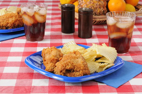 Picknick lunch met gebakken chichen — Stockfoto