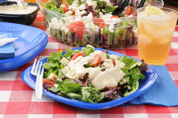 ピクニックのサラダ — ストック写真