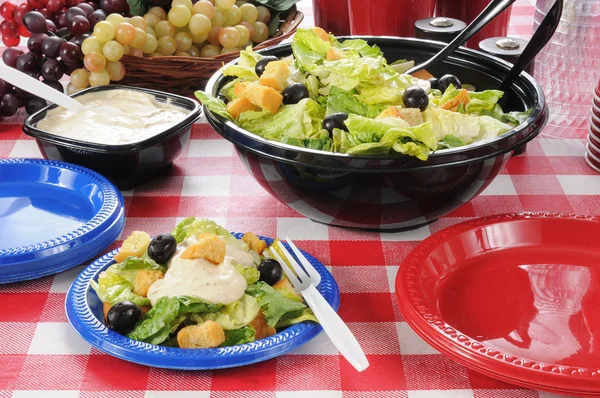 stock image Picnic salad