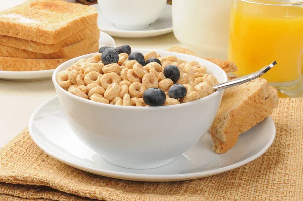 Cold cereal with blueberries — Stock Photo, Image
