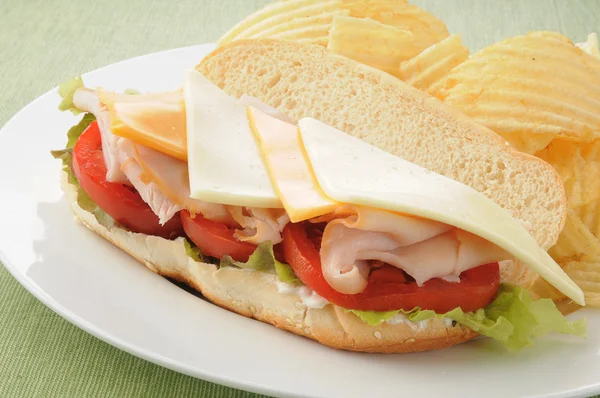 Hogie sandwich close-up — Stockfoto