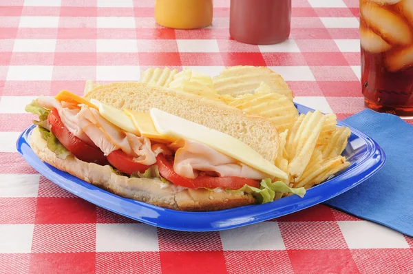 피크닉 테이블에 잠수함 샌드위치 — 스톡 사진