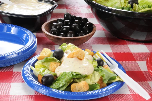 Plate of green salad — Stock Photo, Image