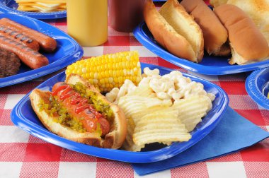 Hot dog with relish on a summer cookout clipart