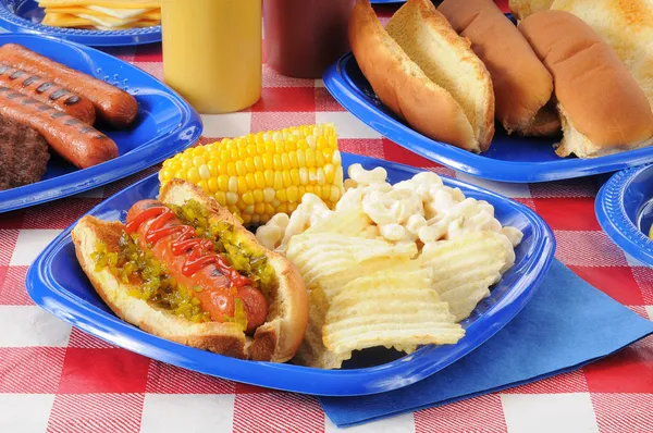 Hot Dog mit Genuss auf einem sommerlichen Cookout — Stockfoto