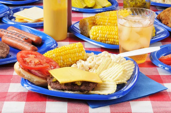 Cheeseburger on a picnic table — Stock Photo, Image