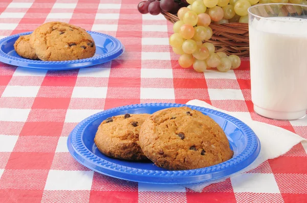 Cookies op een picknicktafel — Stockfoto
