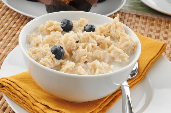 Oatmeal with blueberries closeup — Stock Photo, Image