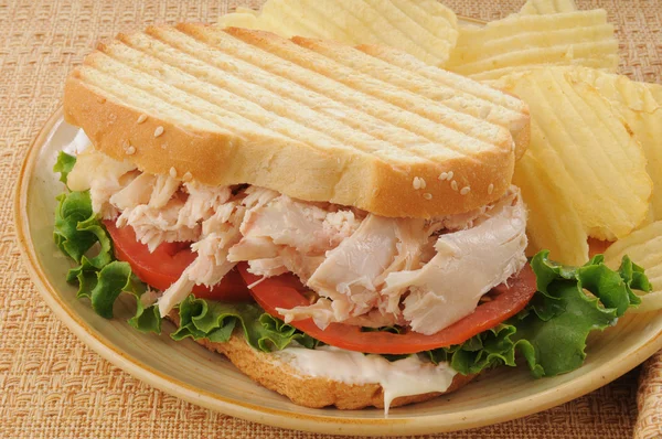 Gegrilde kip sandwich — Stockfoto