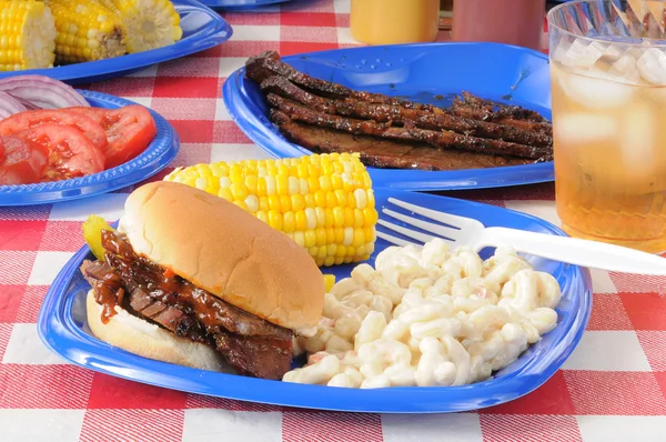 Picnic lunch with barbecue beef — Stock Photo, Image