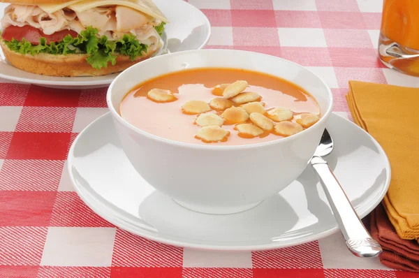 Zupa pomidorowa z ostryg krakersy — Zdjęcie stockowe