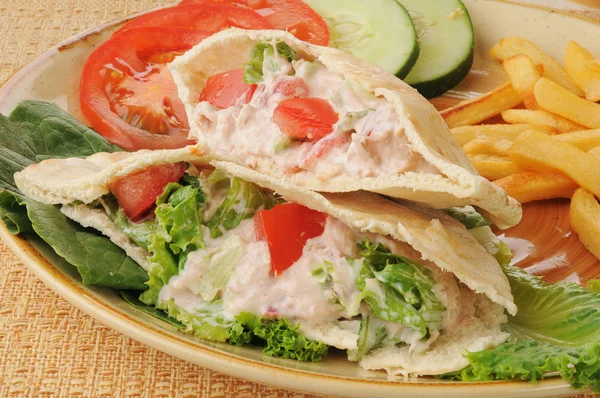 Tunafish pita sandwich — Stock Photo, Image
