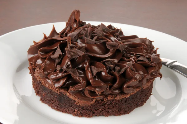 Gastronomische chocolade brownie — Stockfoto