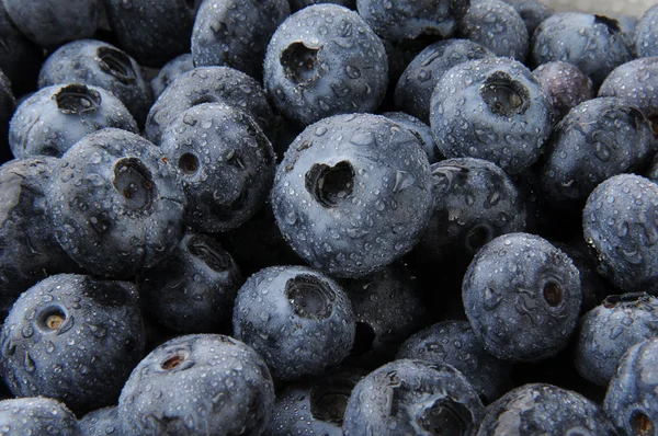 Blueberry Background — Stock Photo, Image