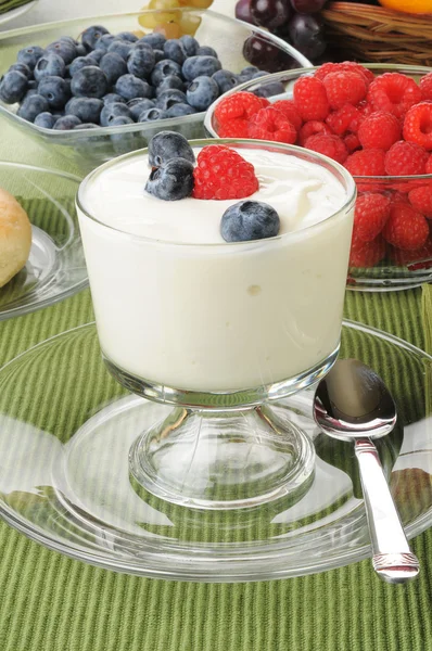 Yogur de vainilla con bayas frescas — Foto de Stock