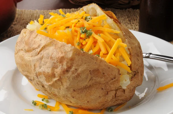 Baked potato with grated cheese — Stock Photo, Image