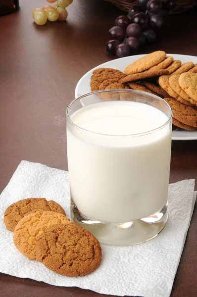 Galletas y leche — Foto de Stock