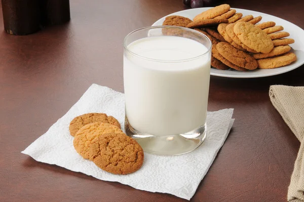 ショウガのスナップのクッキーとミルク — ストック写真