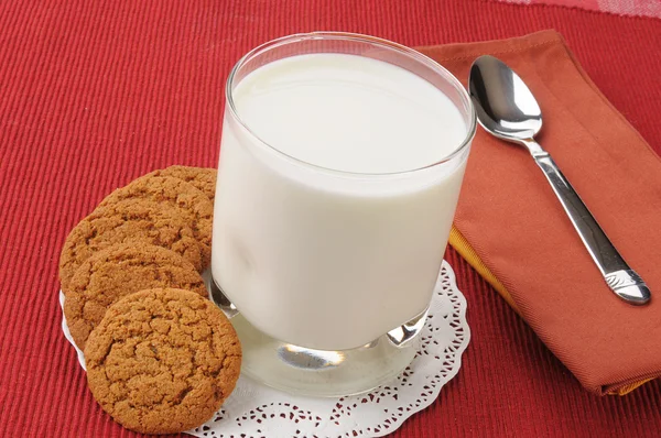 Ginger snap cookies and milk — Stock Photo, Image