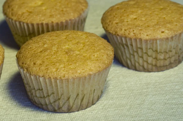 Vanilj muffins — Stockfoto