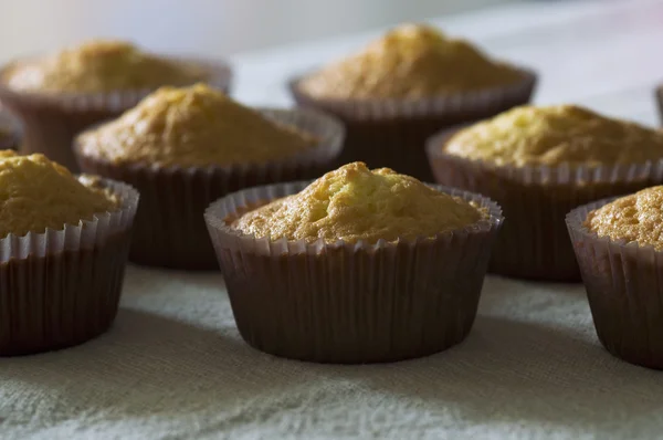 Vanilkové muffiny — Stock fotografie