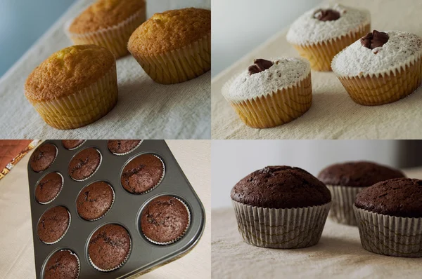 Muffinkuchen Schokolade — Stockfoto