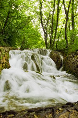 Plitvice Gölleri Ulusal Parkı