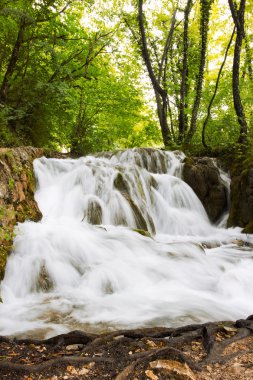 Plitvice Gölleri Ulusal Parkı