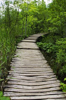 Plitvice Gölleri Ulusal Parkı