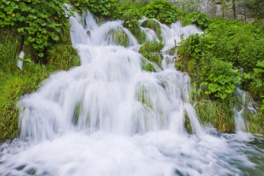 Plitvice Gölleri Ulusal Parkı