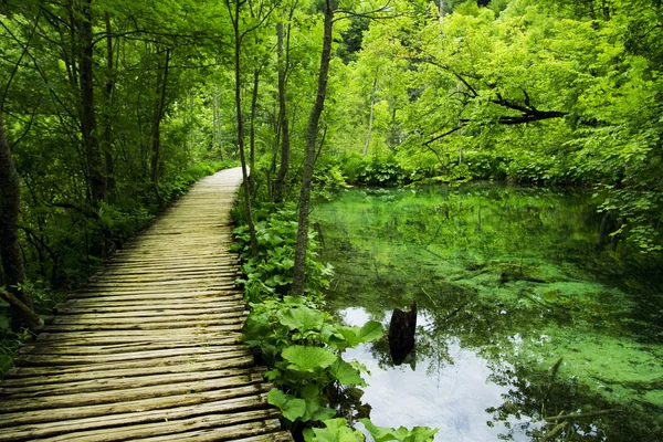 Plitvice Gölleri Ulusal Parkı