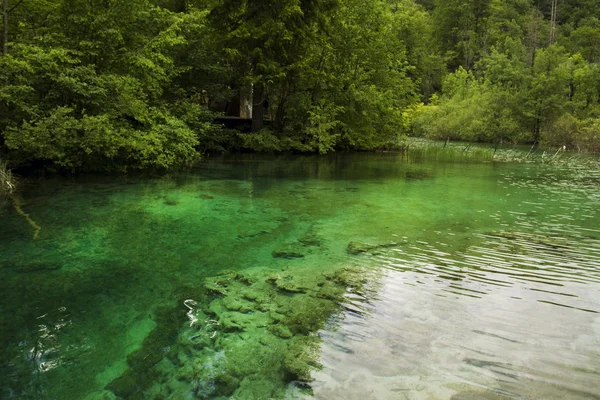 Paesaggio dei Laghi di Plitvice, Croazia — Foto Stock