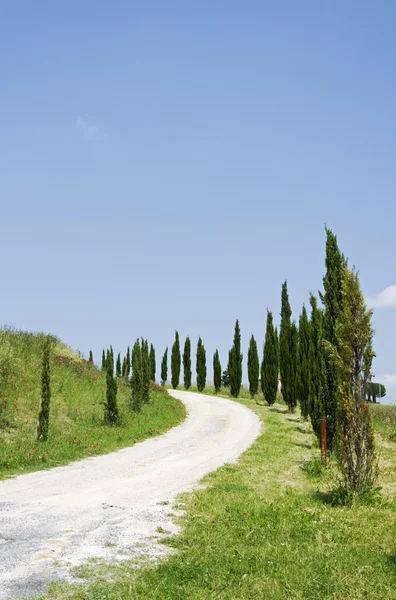 Peisaj Toscana — Fotografie, imagine de stoc
