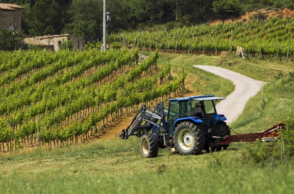 stock image Tractor in the fields