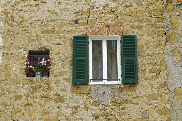 stock image Window with flowers