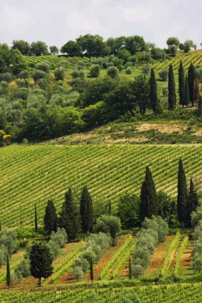 Tuscany images — Stock Photo, Image