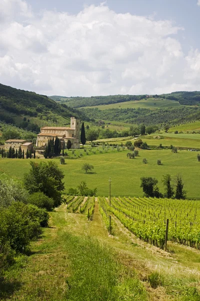 Viñedos en Toscana con Abadía —  Fotos de Stock