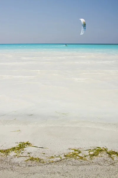 Kite na praia branco — Fotografia de Stock