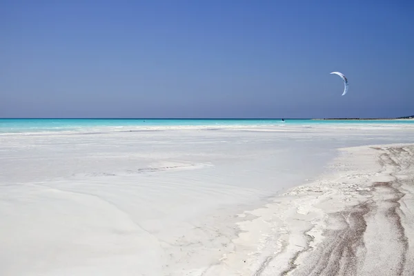 Drachen am Strand weiß — Stockfoto