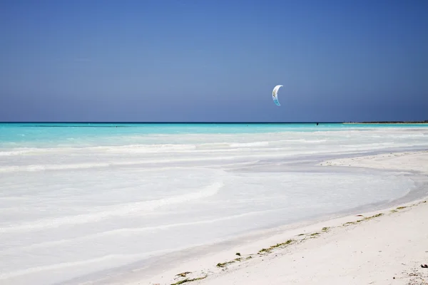 Kite na praia branco — Fotografia de Stock
