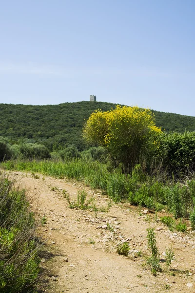 "Tower of Cala di Forno" — Stock Photo, Image