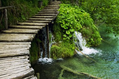Peyzaj plitvice gölleri, Hırvatistan