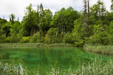 plitvice gölleri ulusal park, Hırvat