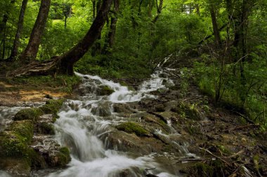 plitvice gölleri ulusal park, Hırvat