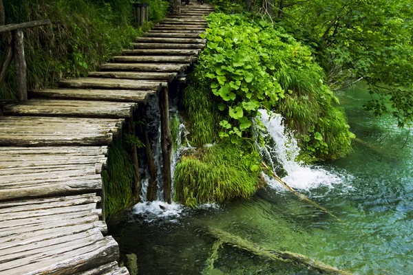 Peyzaj plitvice gölleri, Hırvatistan — Stok fotoğraf