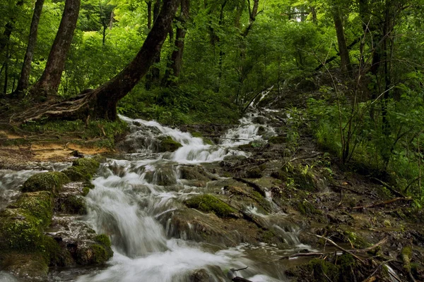 stock image Plitvice Lakes National park, Croatia