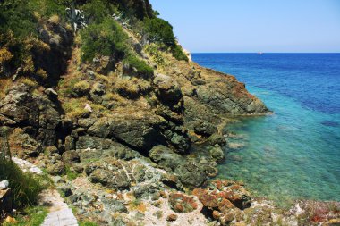 The beach of the island of Elba clipart