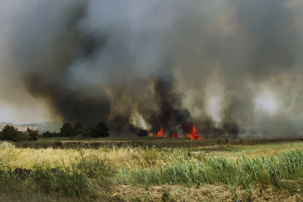 Burn fields — Stock Photo, Image