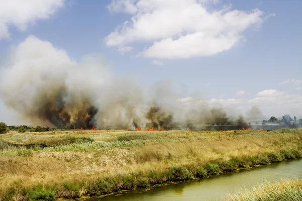 Burn fields — Stock Photo, Image