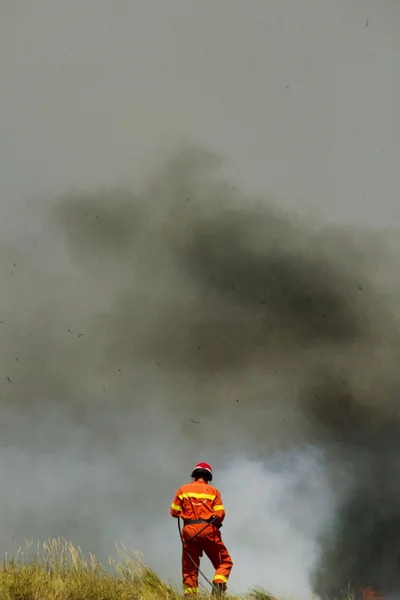 Firefighter extinguishes the fire — Stock Photo, Image